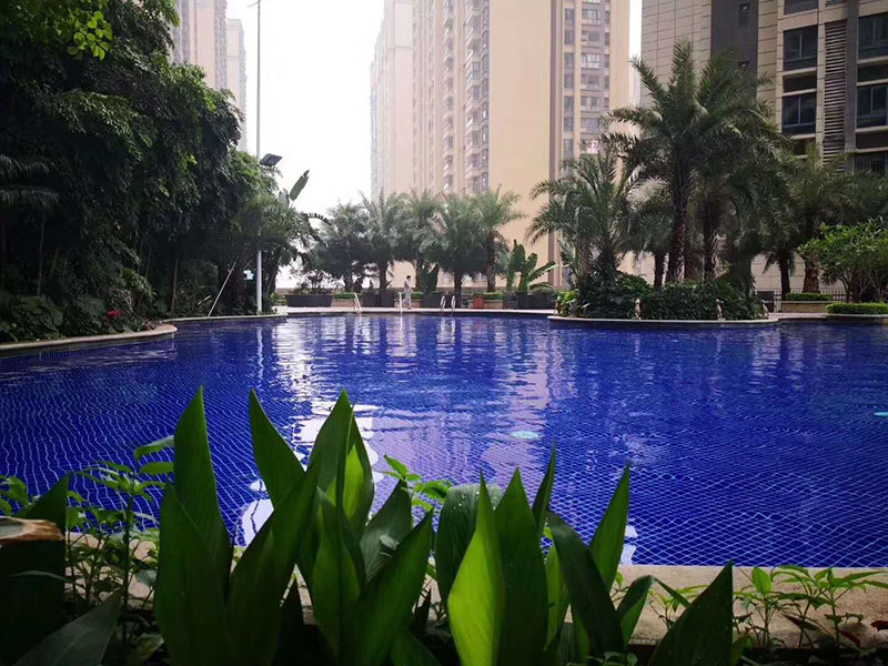 广州成人游泳私教
